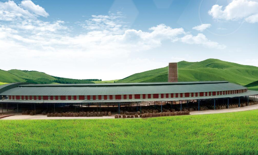 Clay brick plant with mobile rotary kiln  (11.8 meters sectional width) Guangping,  in Vietnam